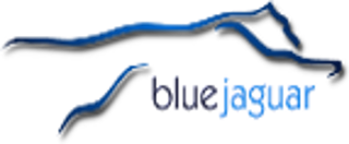 Blue Jaguar Consulting